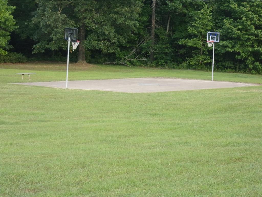 111 Ridgewood Lane Murchison, TX 75778 - Photo 33 of 36 basketball area at park area