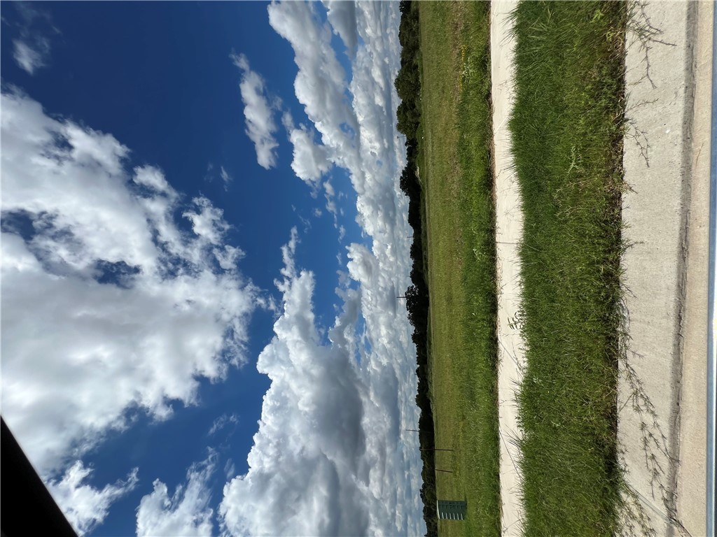 15184 Ty Marshall Court College Station, TX 77845 - Photo 3 of 8 a view of a big yard with a large tree