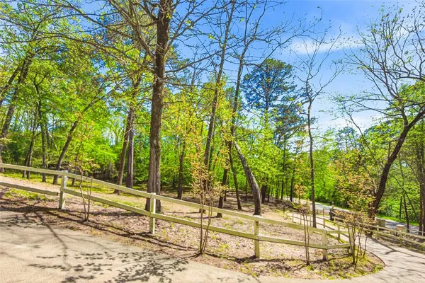 a view of a yard with plants and trees beside of it