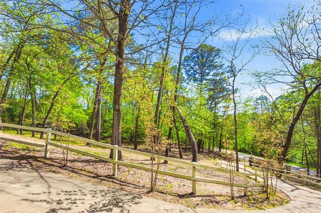 18737 Oakbrook Road Tyler, TX 75703 - Photo 4 of 32