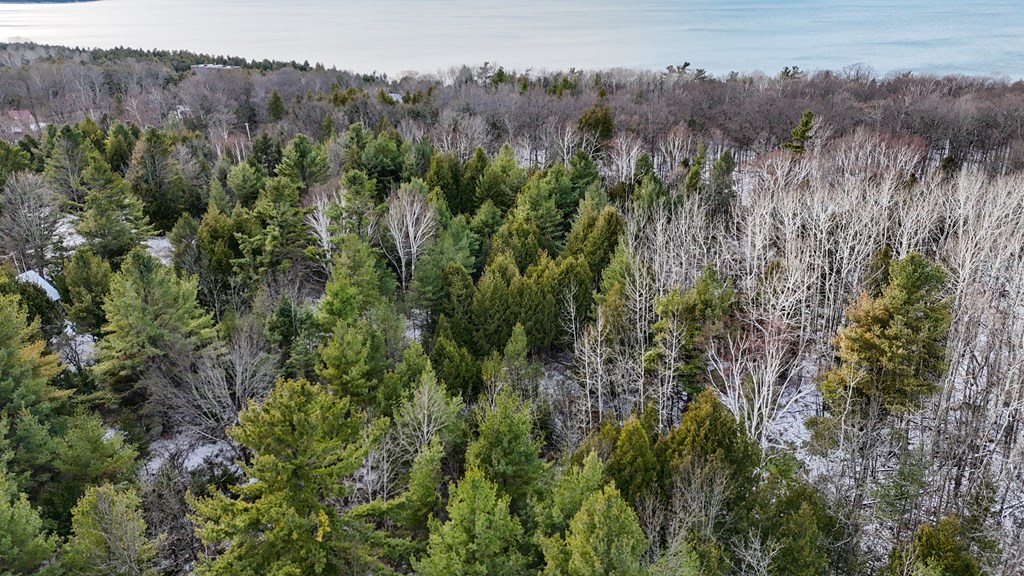 Parcel A Gibraltar Blf Road Fish Creek, WI 54212 - Photo 7 of 11