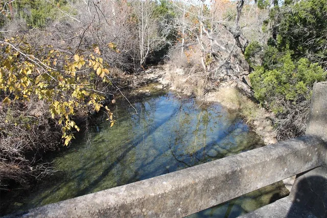 a view of a yard with plants and large trees