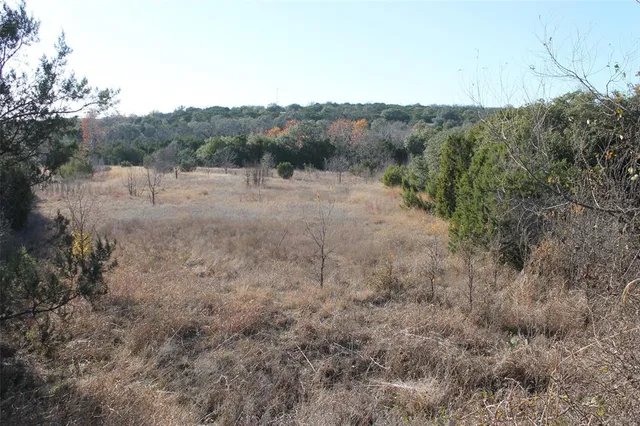 a view of a dry yard with trees