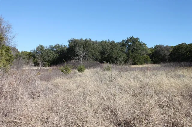 a view of a dry yard with green space