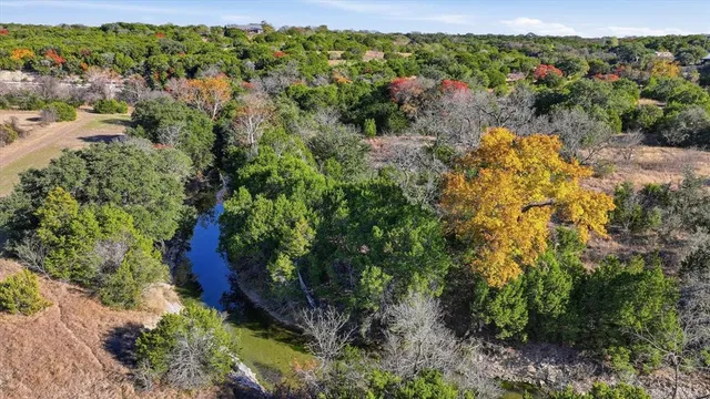 a view of a forest with a house