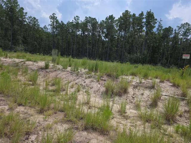 a view of a water pond with green yard