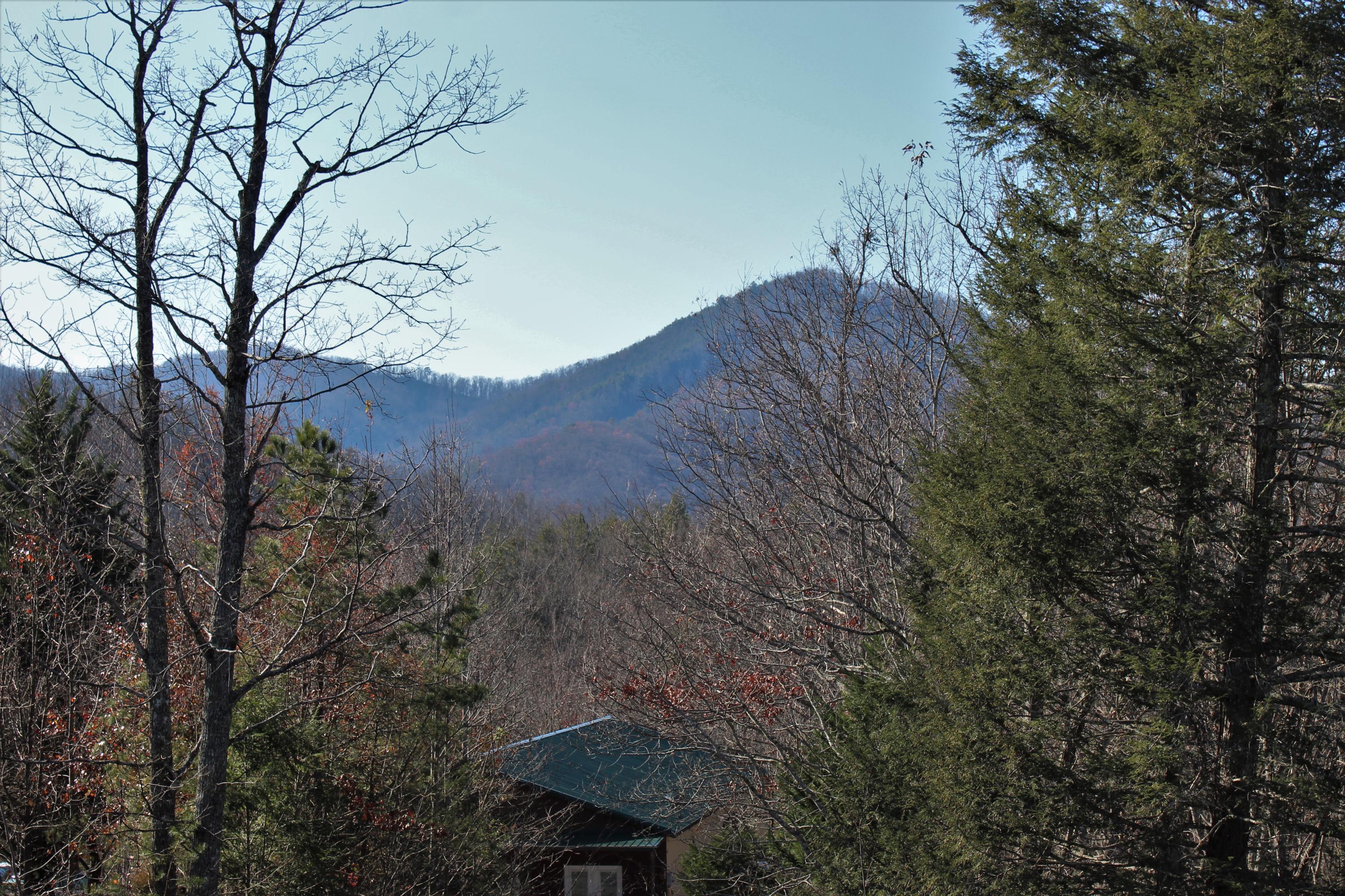 4420 Grindstone Ridge Road Pigeon Forge, TN 37863 - Photo 5 of 40 View (3)
