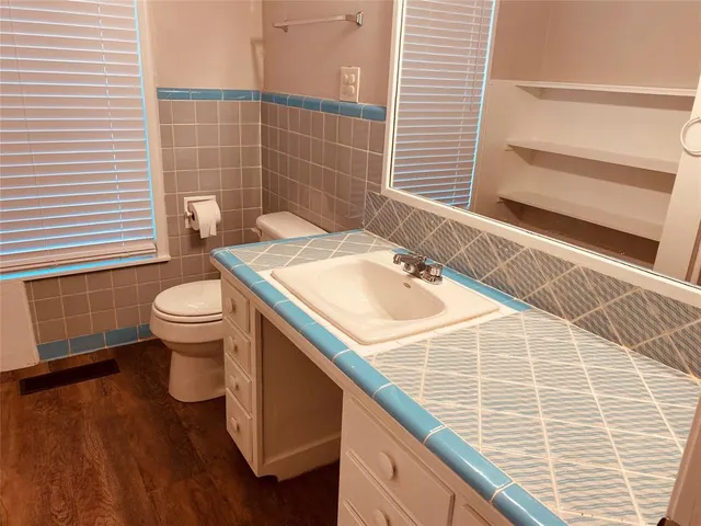 a bathroom with a sink and toilet