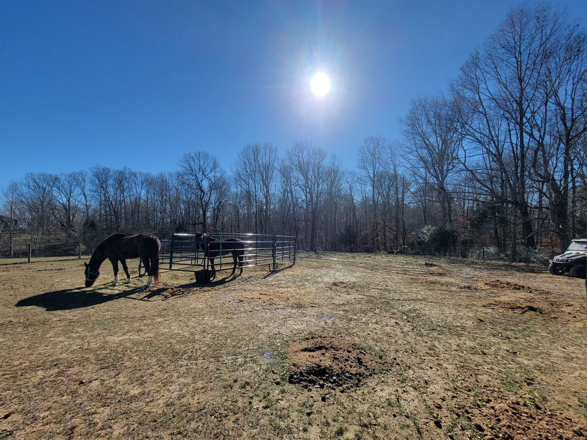 1152 Oak Grove Road Dickson, TN 37055 - Photo 39 of 53 a view of a backyard with trees