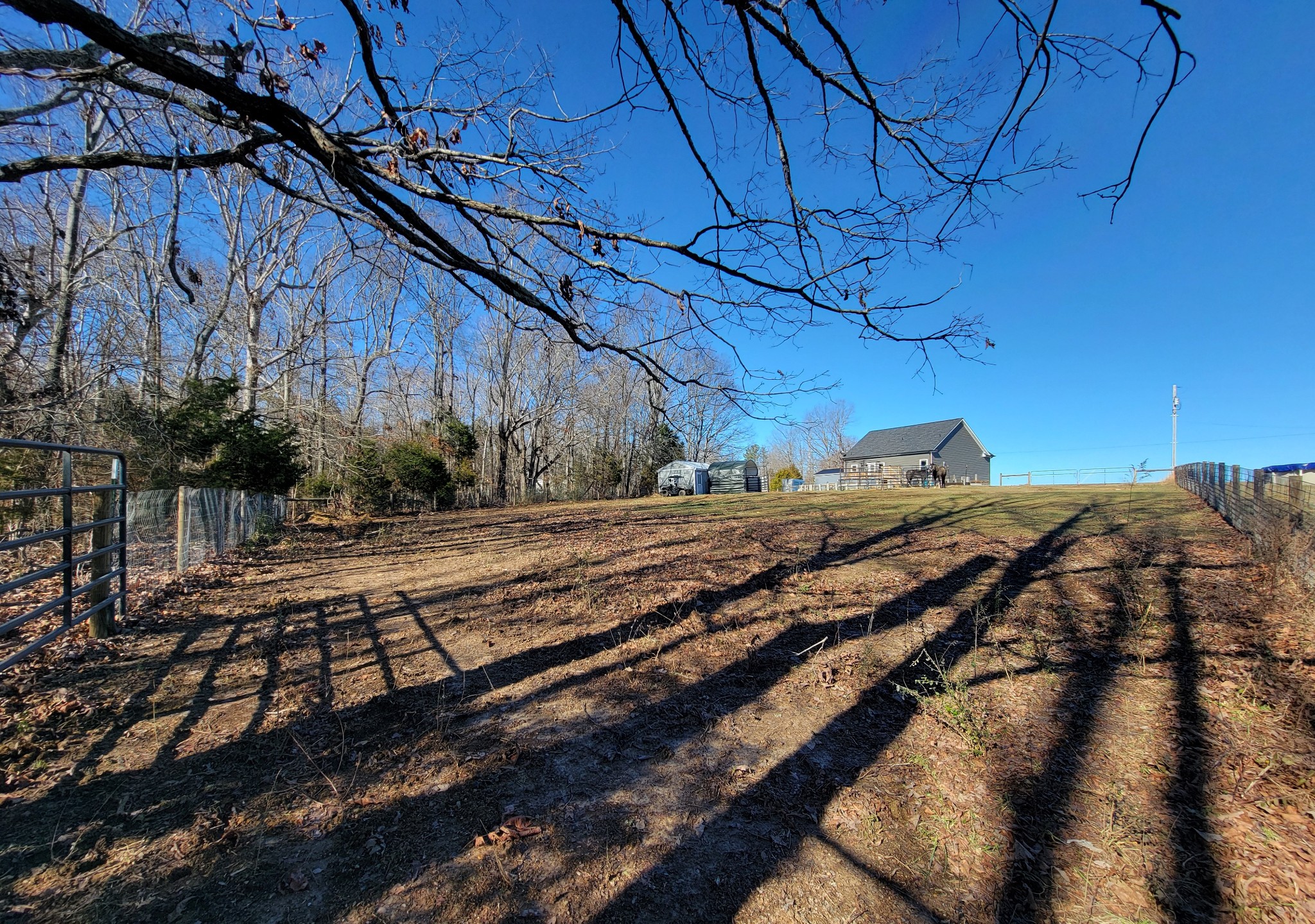 1152 Oak Grove Road Dickson, TN 37055 - Photo 41 of 53 a view of a yard