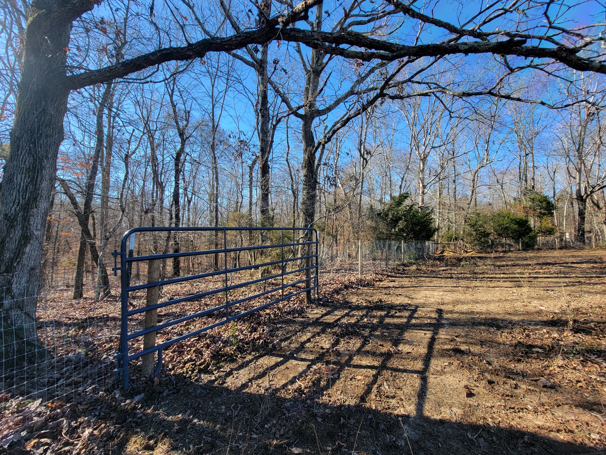1152 Oak Grove Road Dickson, TN 37055 - Photo 42 of 53 a view of a yard with wooden fence