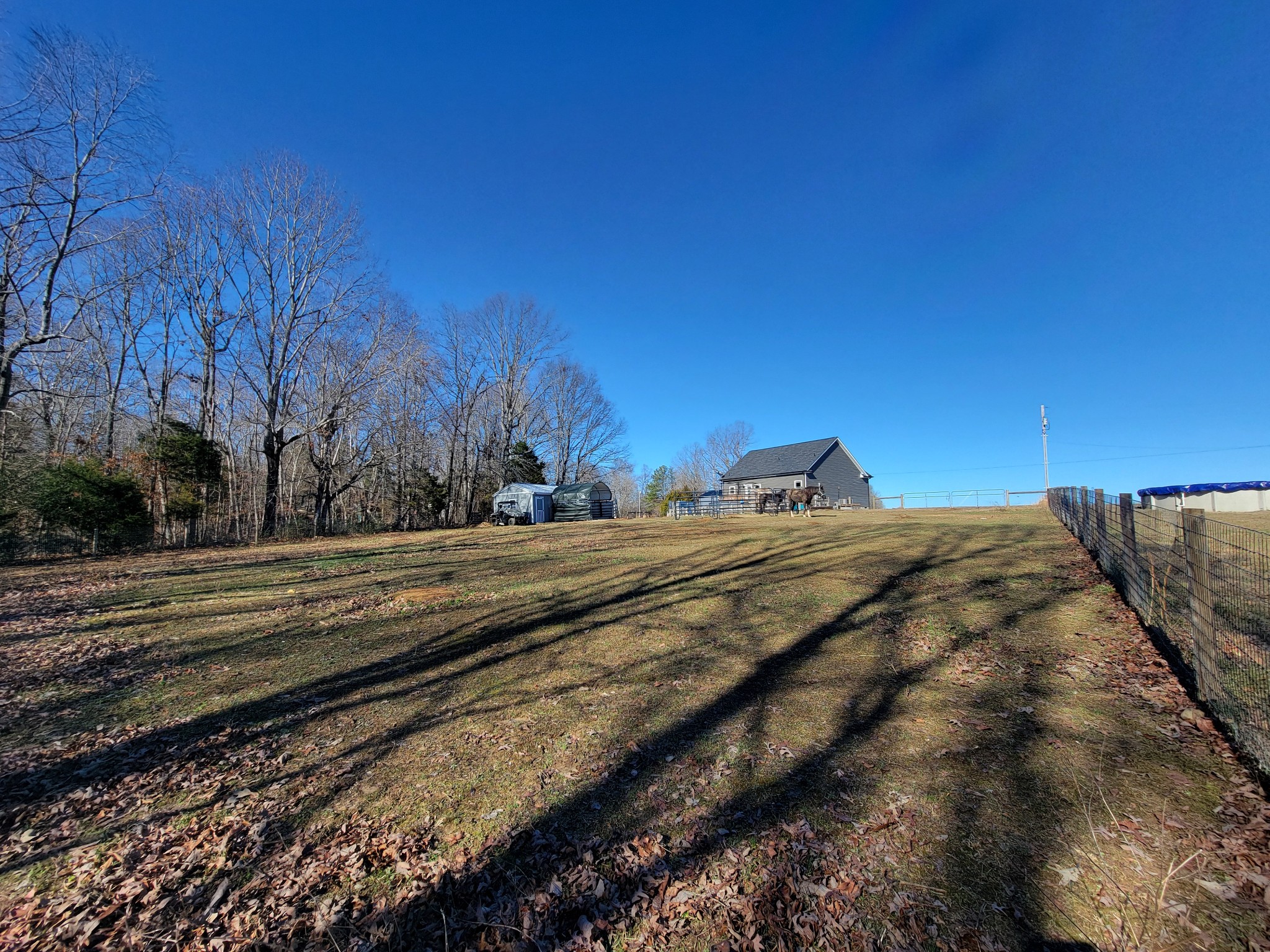1152 Oak Grove Road Dickson, TN 37055 - Photo 44 of 53 a view of a yard with large trees