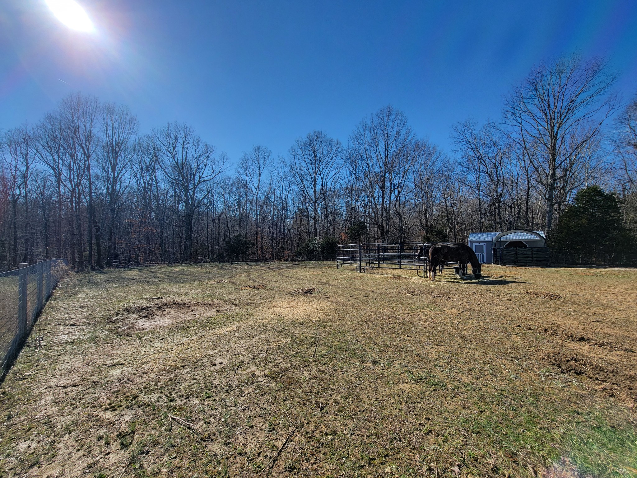 1152 Oak Grove Road Dickson, TN 37055 - Photo 46 of 53 a view of outdoor space with trees