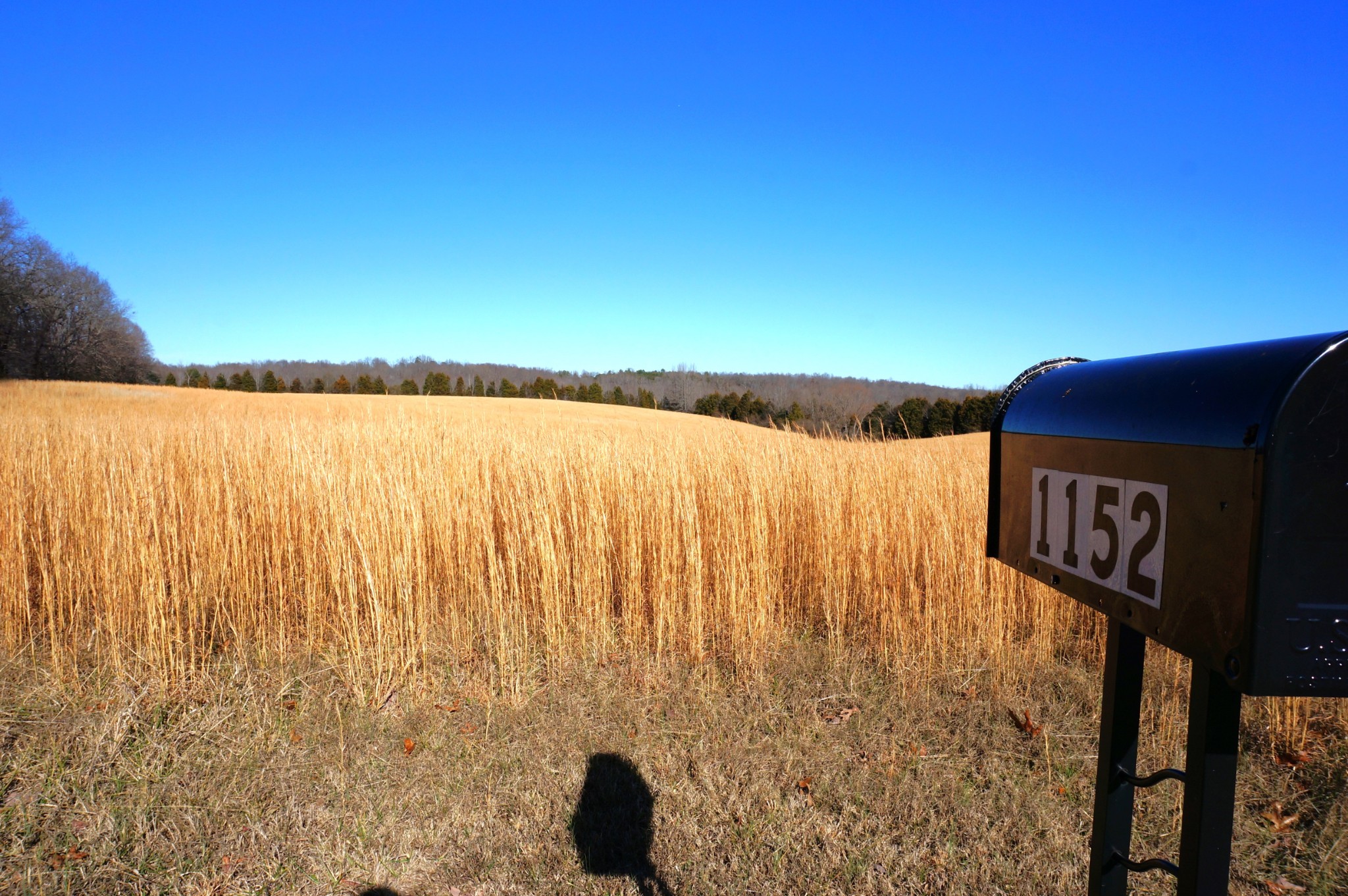 1152 Oak Grove Road Dickson, TN 37055 - Photo 52 of 53 a view of ocean with city