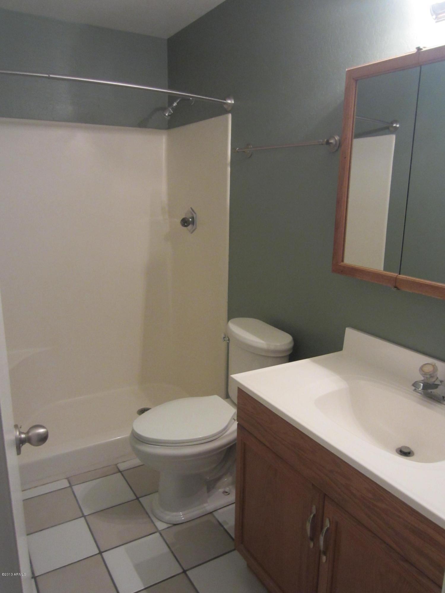 3719 South Elm Street Tempe, AZ 85282 - Photo 16 of 30 3719 S Elm bath