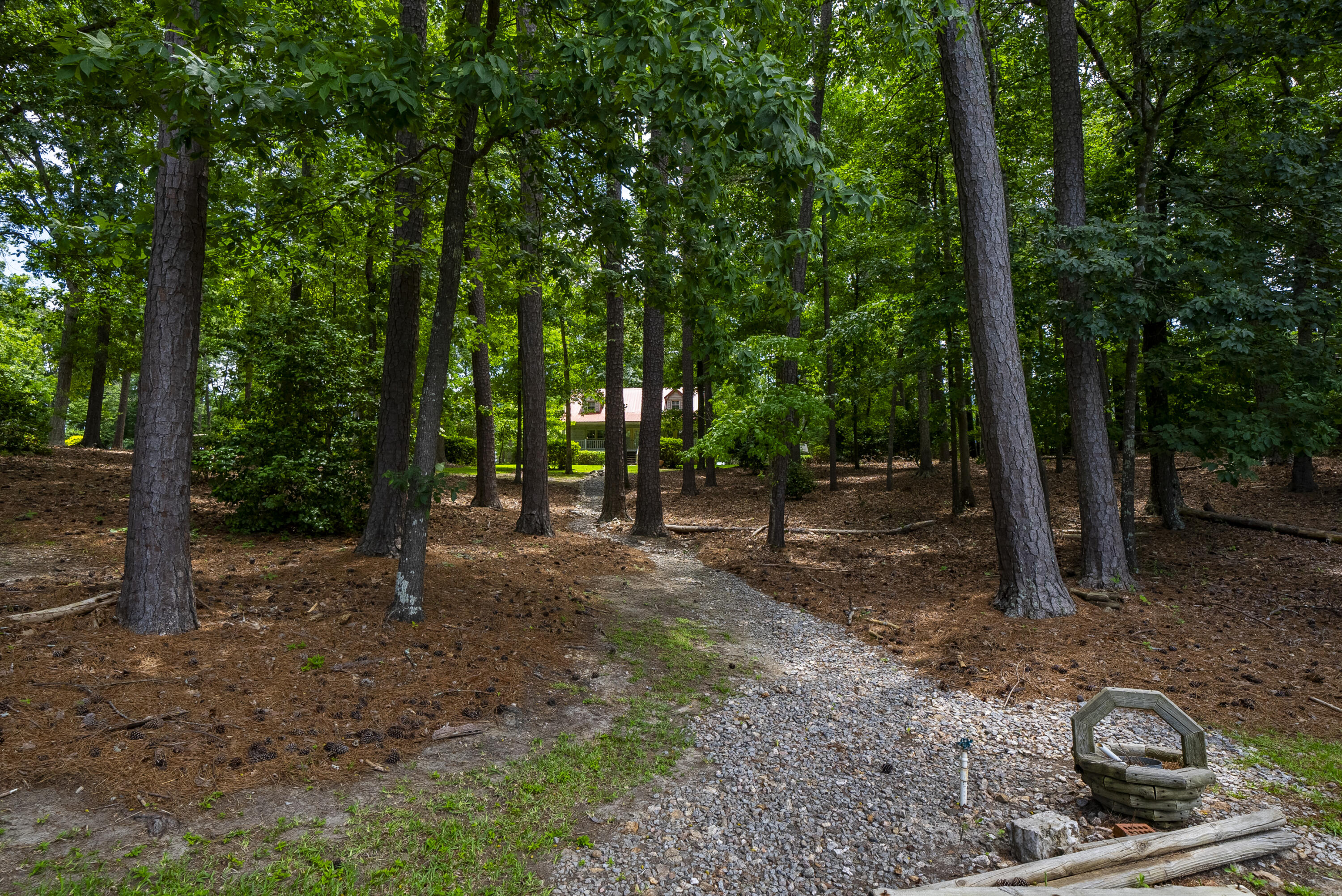 1239 Shull Island Road Gilbert, SC 29054 - Photo 45 of 52
