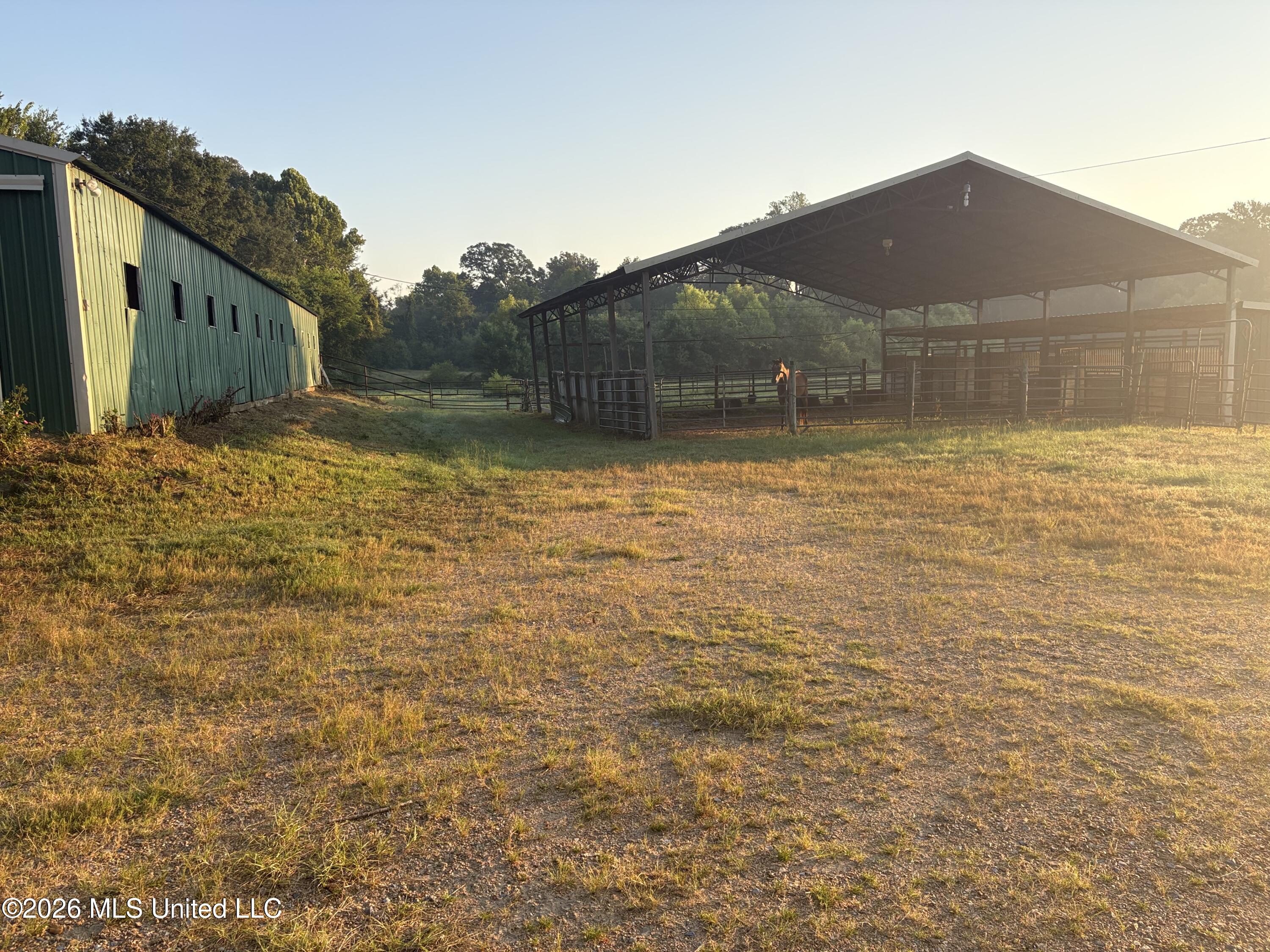253 West Petros Road Pearl, MS 39208 - Photo 6 of 47 IMG_3205