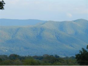 144 Pig Broyles Road Limestone, TN 37681 - Photo 3 of 14 Beautiful Mountain Views