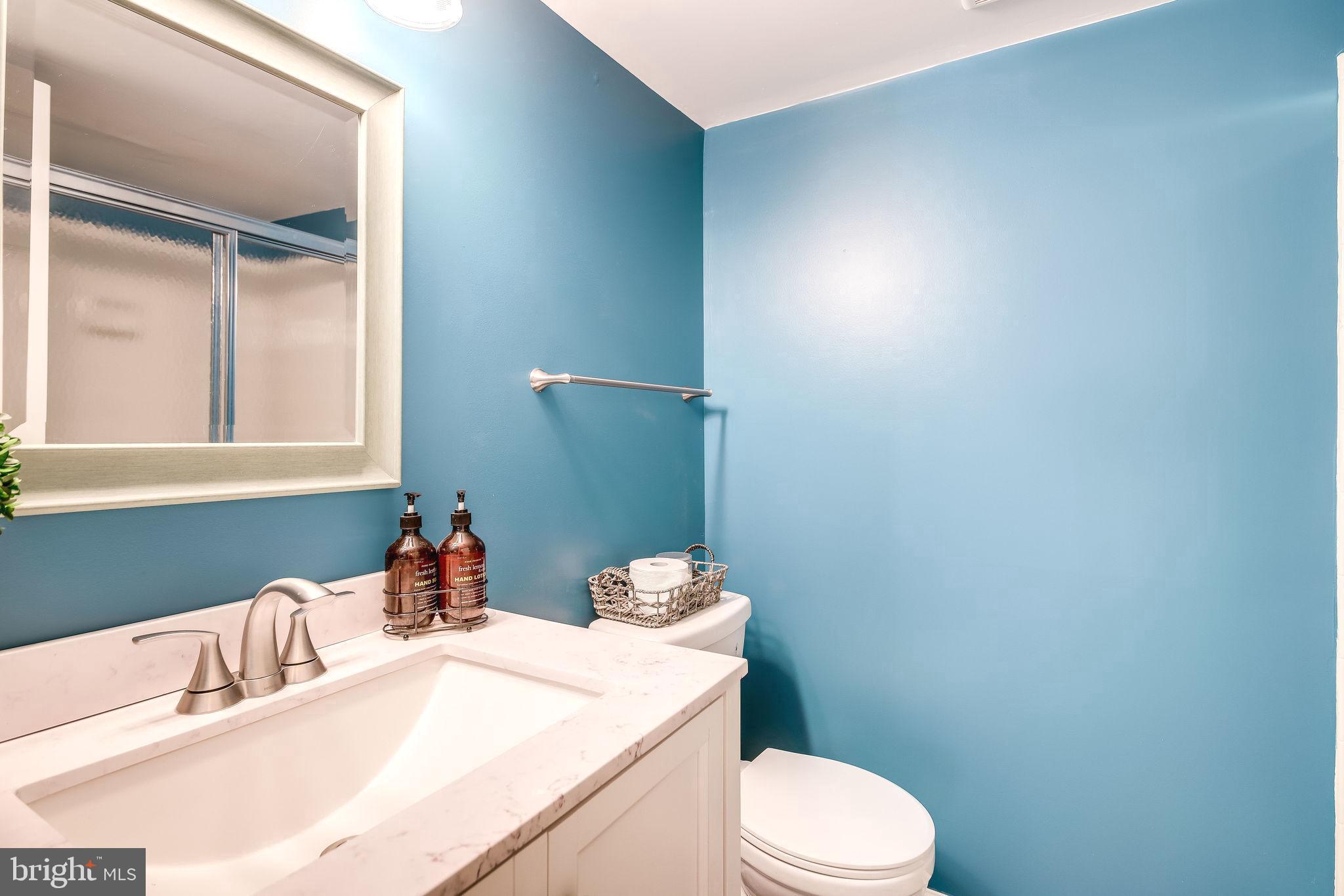 1486 Autumn Ridge Circle Reston, VA 20194 - Photo 24 of 28 Lower level full backroom