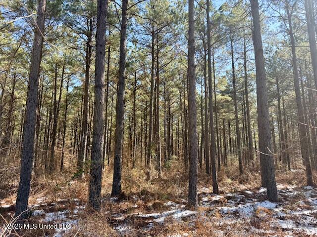 Debutte Road Bastrop, LA 71220 - Photo 2 of 28 IMG_7549