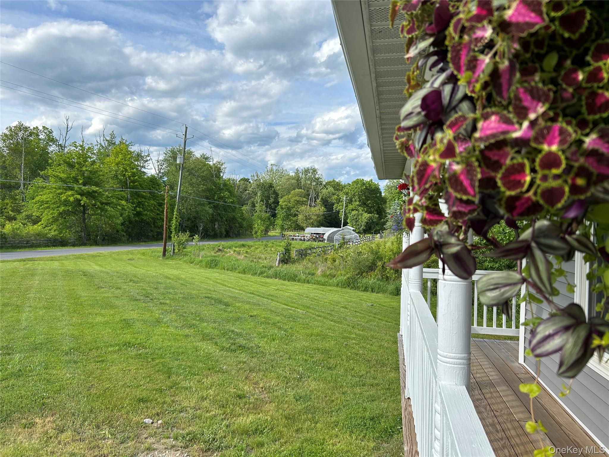 94 Jansen Road Pine Bush, NY 12566 - Photo 5 of 49
