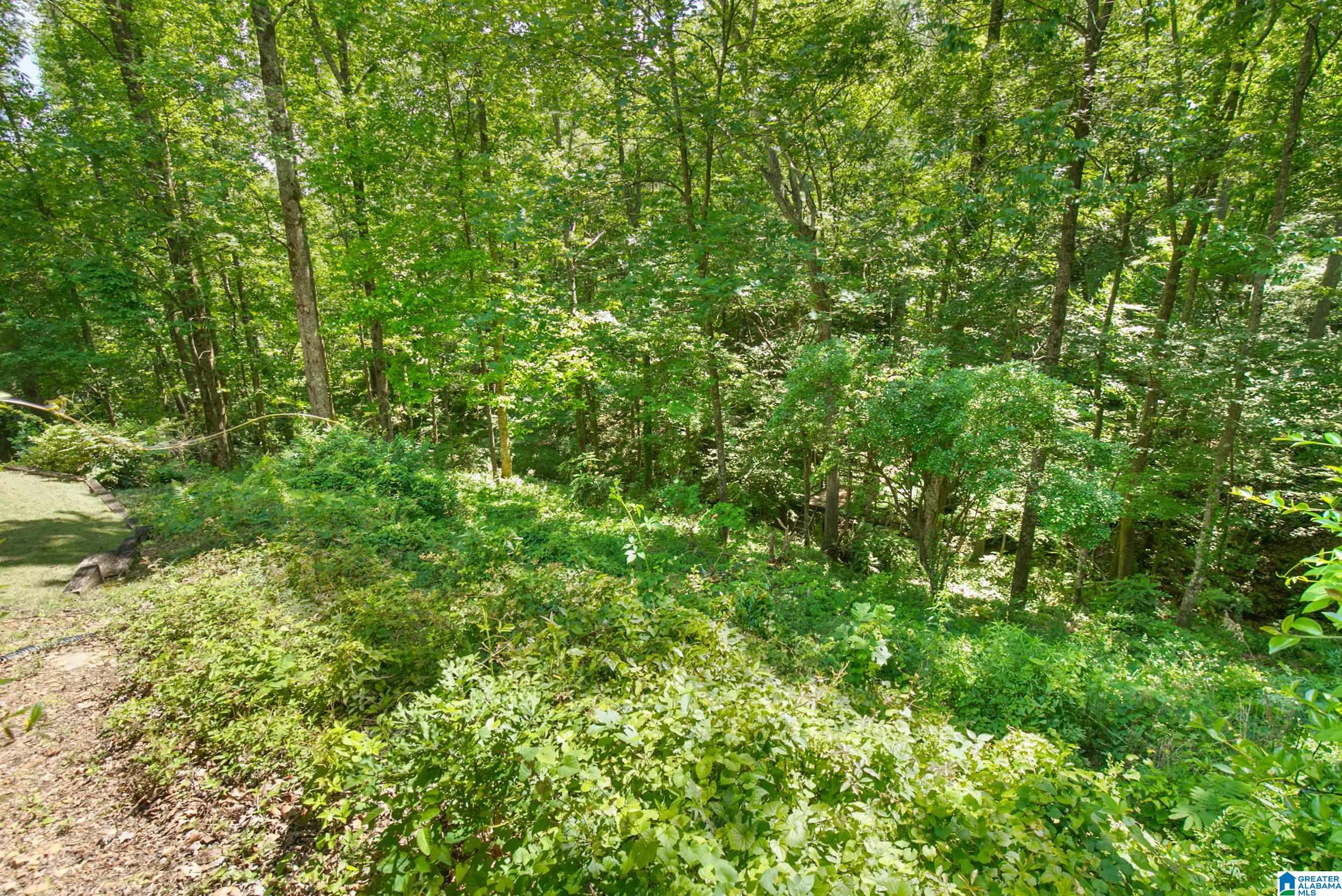 3982 Spring Valley Road Birmingham, AL 35223 - Photo 74 of 89 Gallery Image 74
