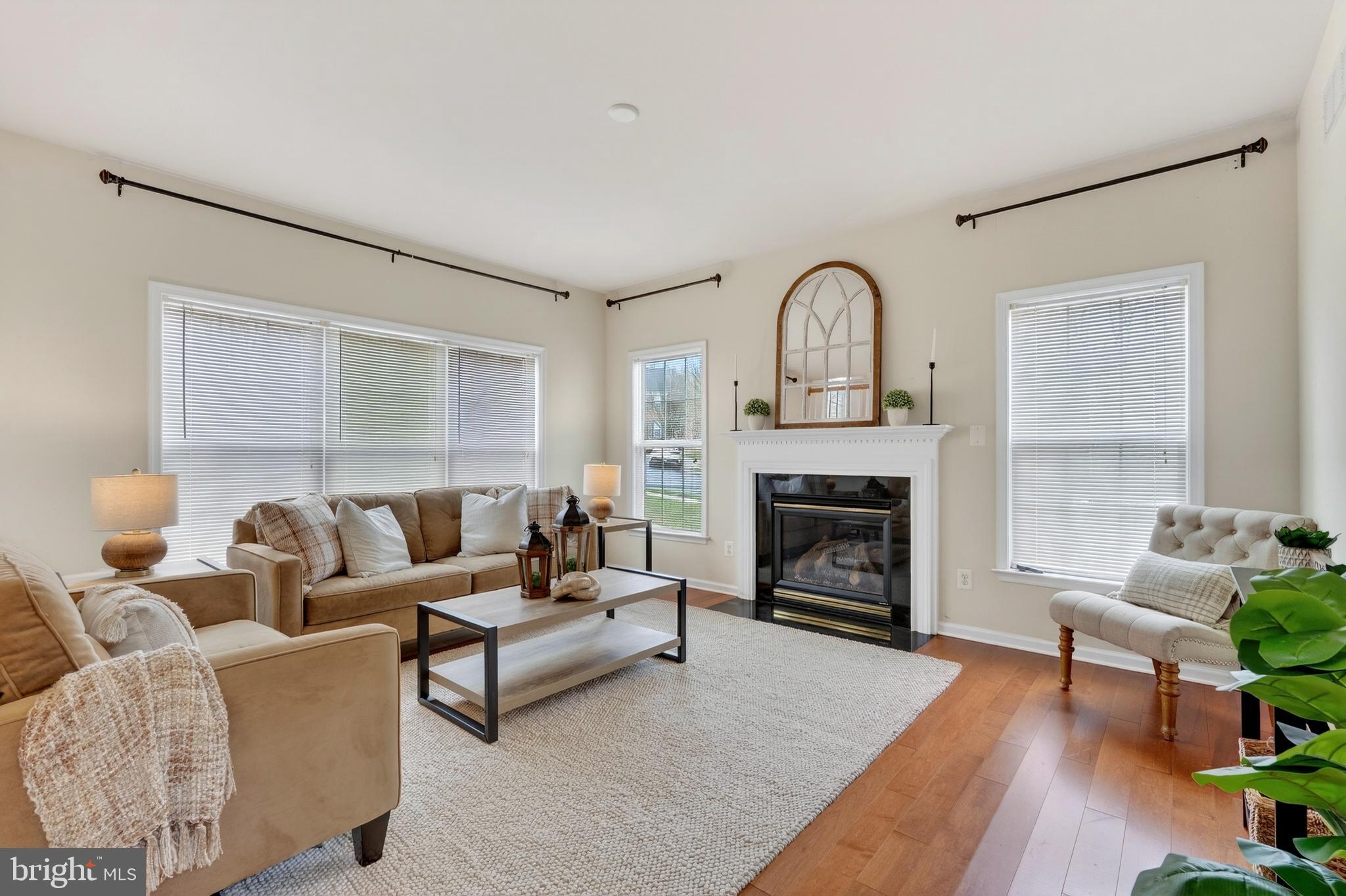 169 Thomas Jefferson Terrace Elkton, MD 21921 - Photo 16 of 64 a living room with furniture a fireplace and a potted plant