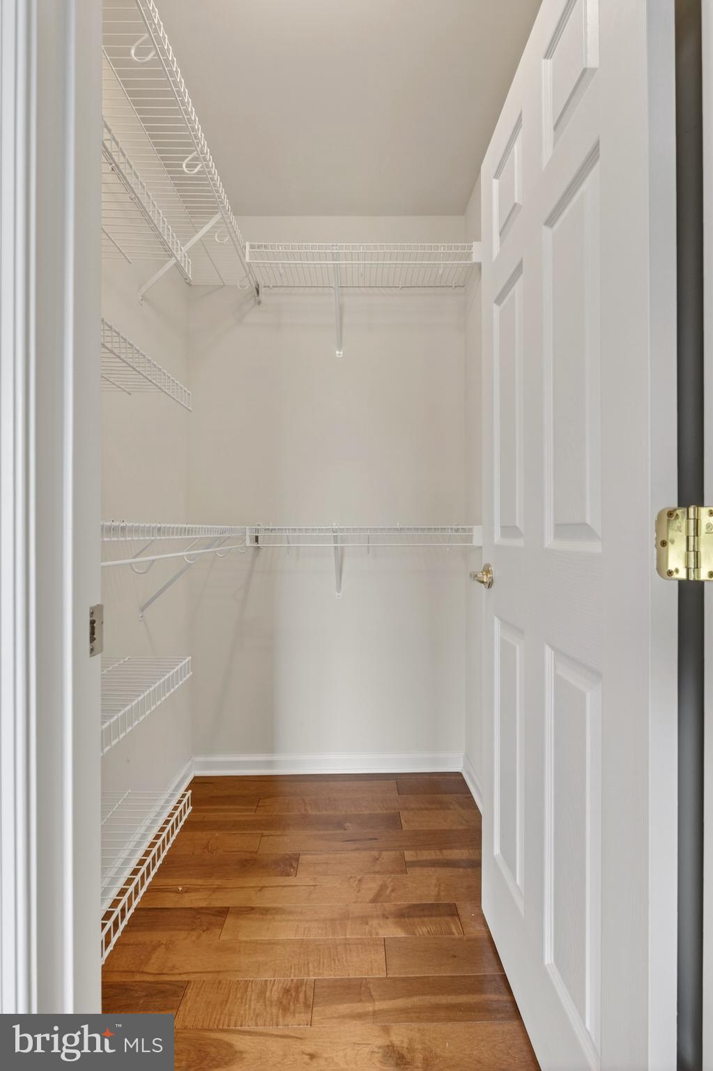 169 Thomas Jefferson Terrace Elkton, MD 21921 - Photo 37 of 64 a view of an empty walk in closet