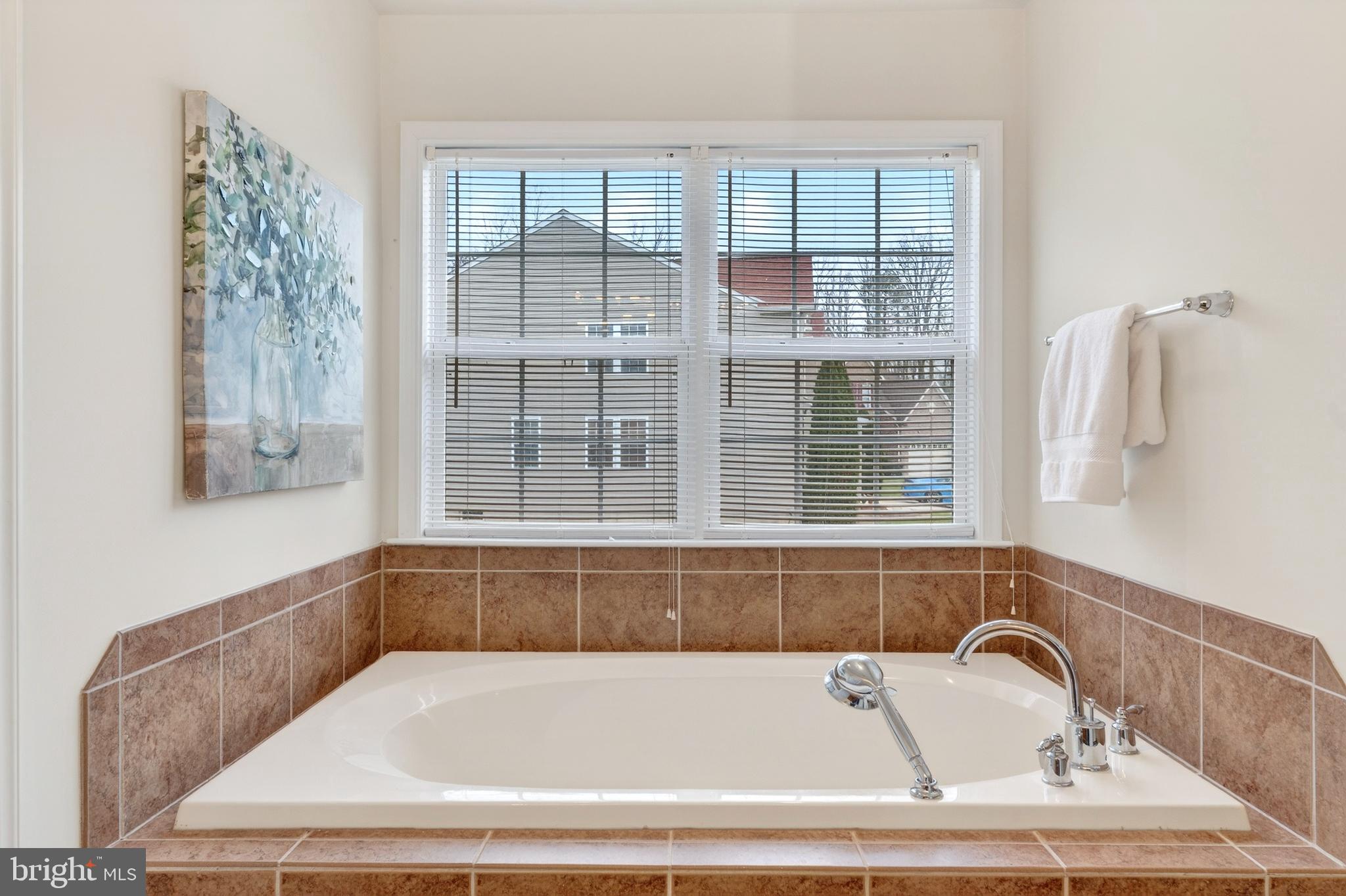 169 Thomas Jefferson Terrace Elkton, MD 21921 - Photo 46 of 64 a bathroom with bathtub with window