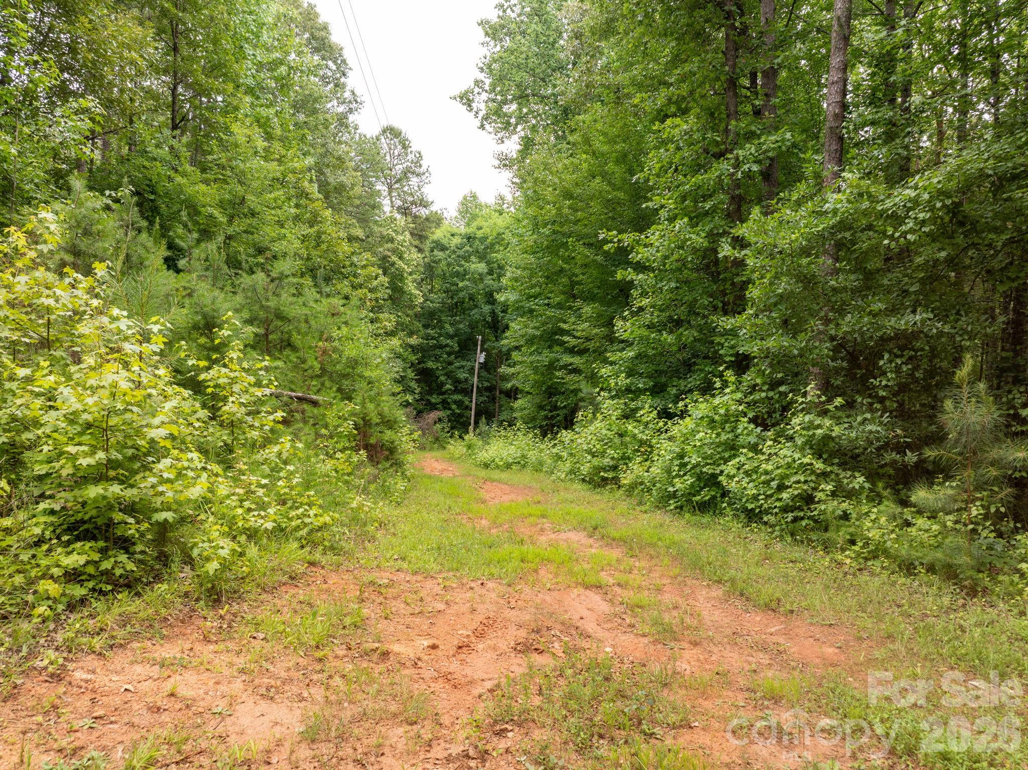 1350 Lee Cudd Road Rutherfordton, NC 28139 - Photo 11 of 38