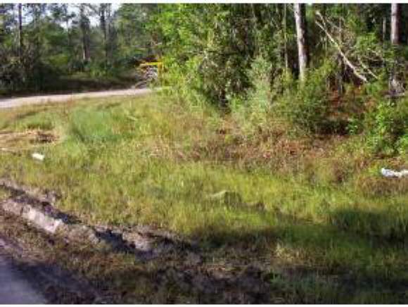 0 Southwest Darlington Av/gibbs Road Palm Bay, FL 32908 - Photo 1 of 3 Primary Photo