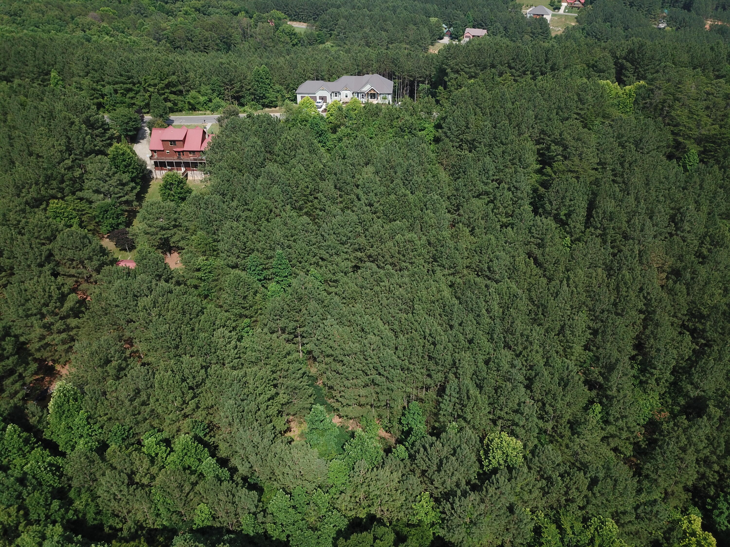 1415 Sloans Gap Road, Unit 1 Ocoee, TN 37361 - Photo 2 of 13 1F0D6CEA-E261-45FF-9477-F8FACE63CEAA