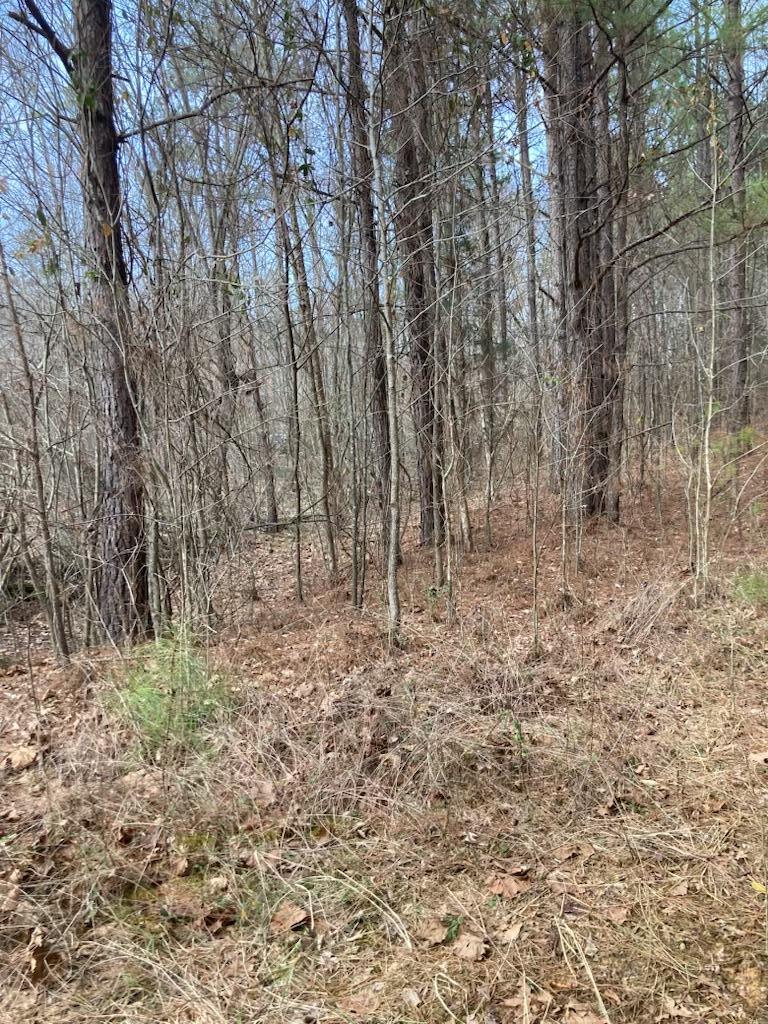 1415 Sloans Gap Road, Unit 1 Ocoee, TN 37361 - Photo 4 of 13 F142D63F-28E4-4D4E-9FC3-9374D36B6433