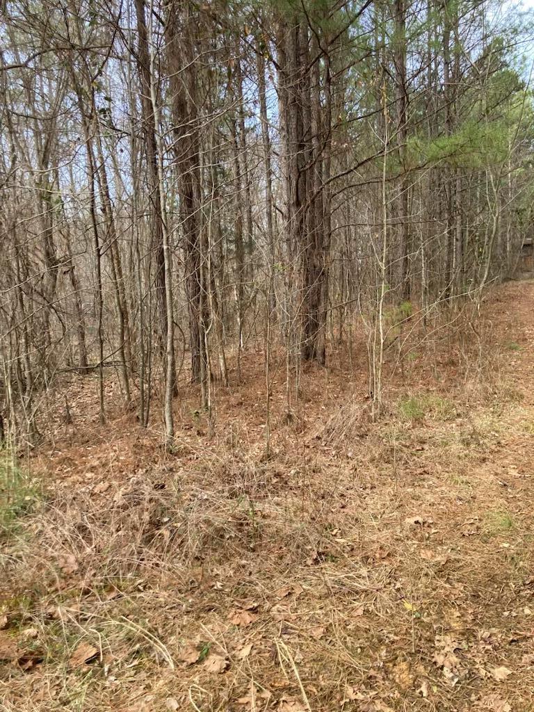 1415 Sloans Gap Road, Unit 1 Ocoee, TN 37361 - Photo 5 of 13 2495155C-6AD6-47FD-A530-ECA8C32756CC