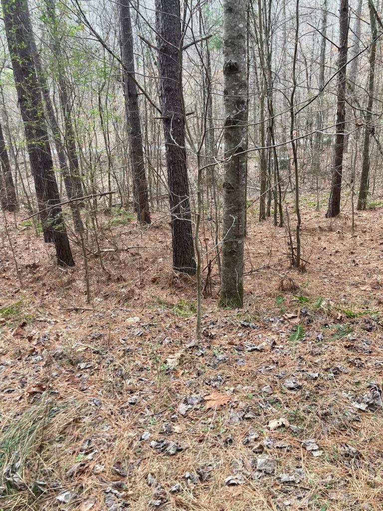 1415 Sloans Gap Road, Unit 1 Ocoee, TN 37361 - Photo 6 of 13 EF468B3C-5092-4611-8358-E9A5806556AA