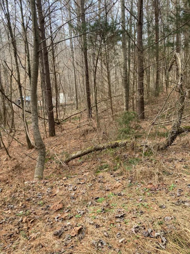 1415 Sloans Gap Road, Unit 1 Ocoee, TN 37361 - Photo 7 of 13 C04A20A3-A668-437D-B27E-632052333778