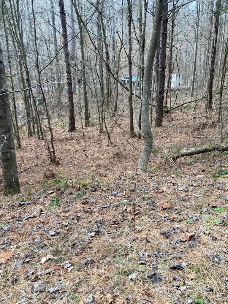 1415 Sloans Gap Road, Unit 1 Ocoee, TN 37361 - Photo 8 of 13 E8517E53-6B80-4B25-BDD4-5345691B2857