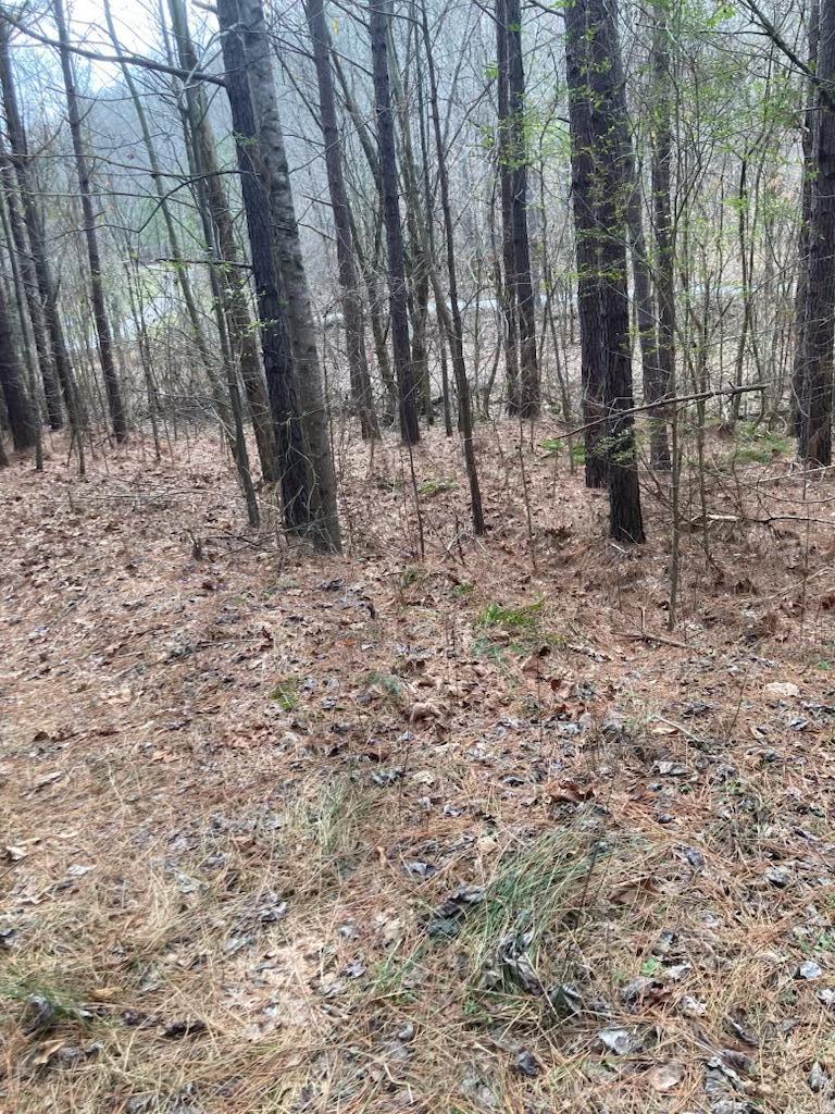 1415 Sloans Gap Road, Unit 1 Ocoee, TN 37361 - Photo 9 of 13 70C73E9D-4F17-4582-BE9D-DE3E1248E94B