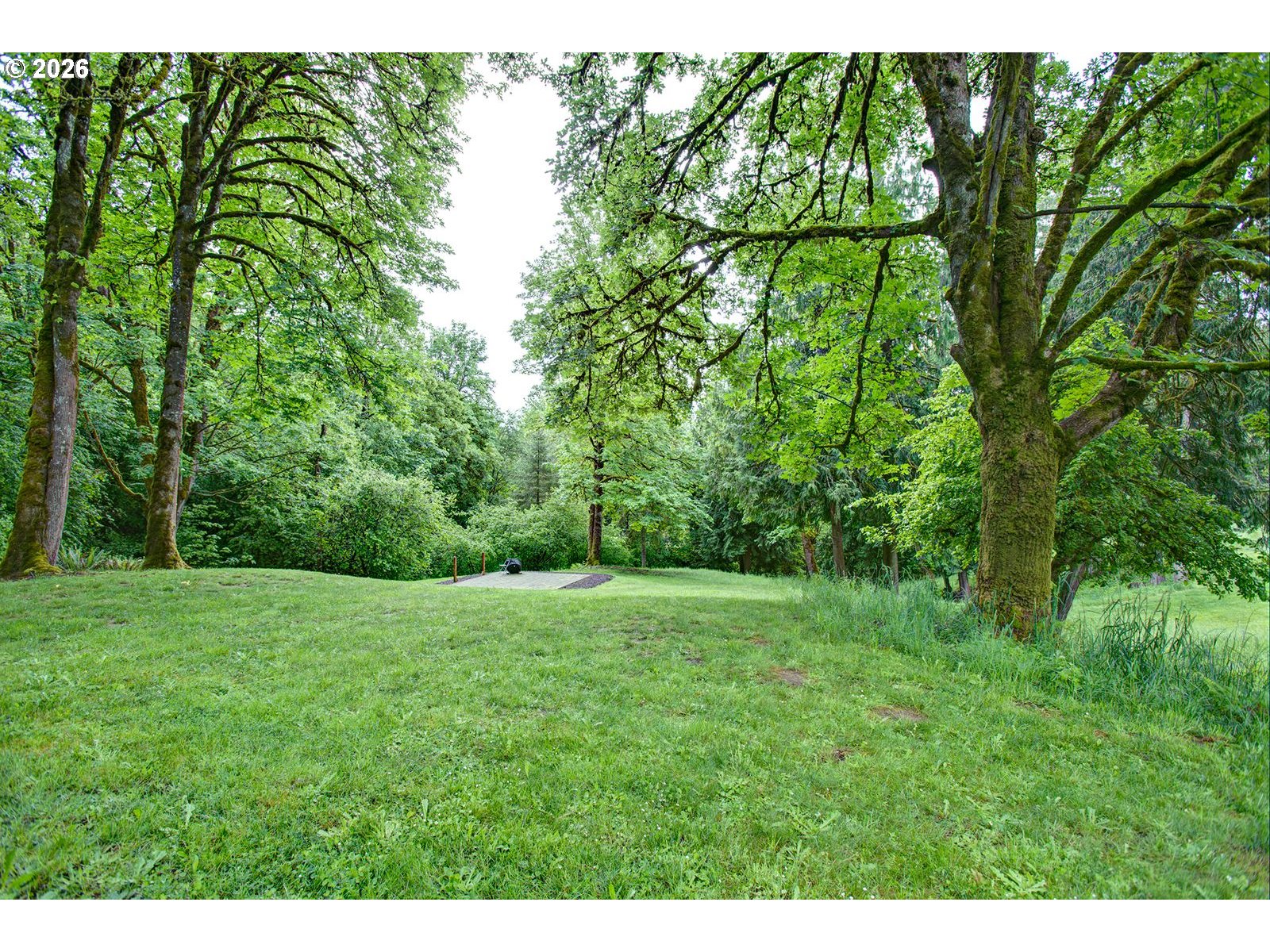 60300 Rays Way St. Helens, OR 97051 - Photo 36 of 41 a view of a big yard with large trees