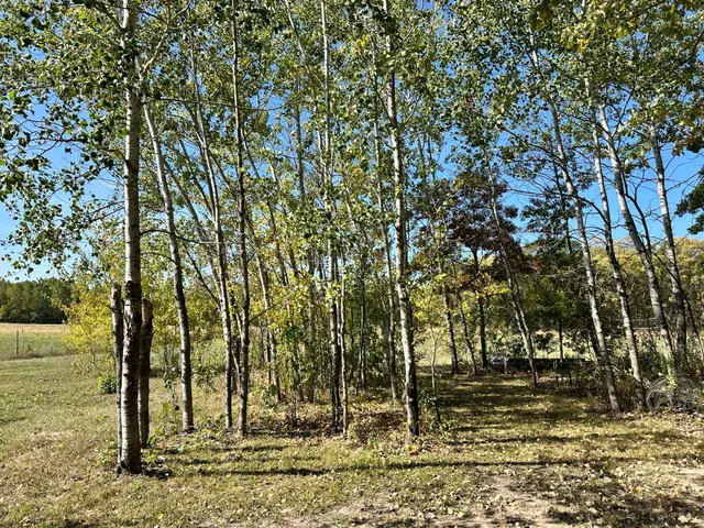 $330,000 | 13737 109th Avenue, Park Rapids, MN 56470