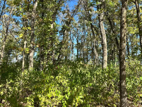 $330,000 | 13737 109th Avenue, Park Rapids, MN 56470