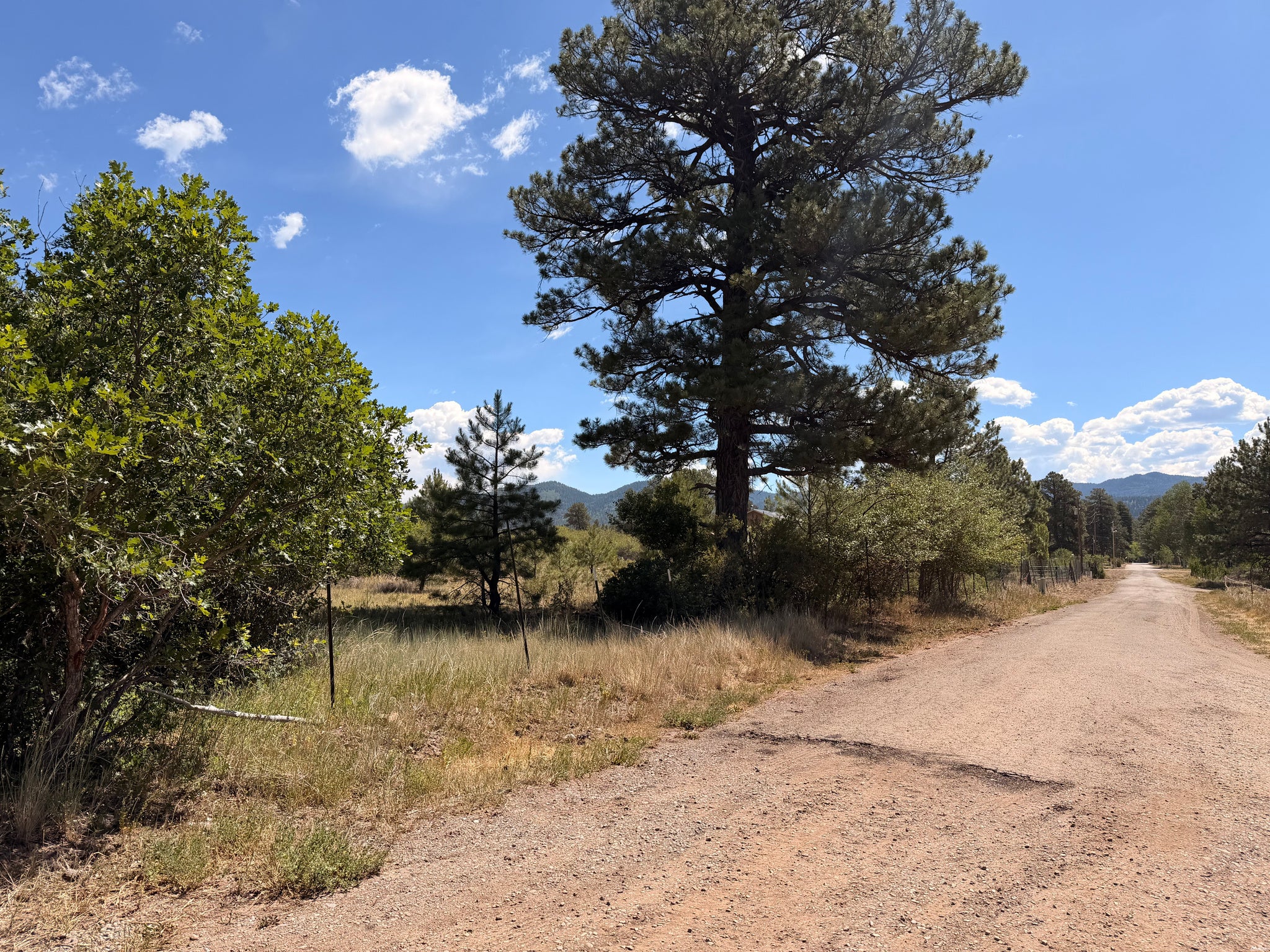 857 3rd Street Chama, NM 87520 - Photo 1 of 8 Gallery Image 1