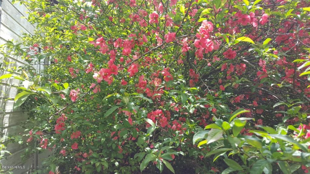 1269 Old Rte 9 Windsor, MA 01270 - Photo 11 of 32 a small yard