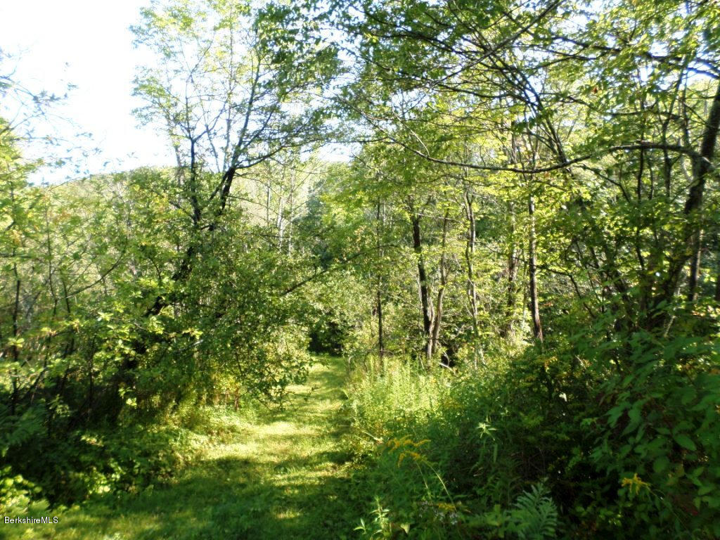 1269 Old Rte 9 Windsor, MA 01270 - Photo 15 of 32 a view of a yard