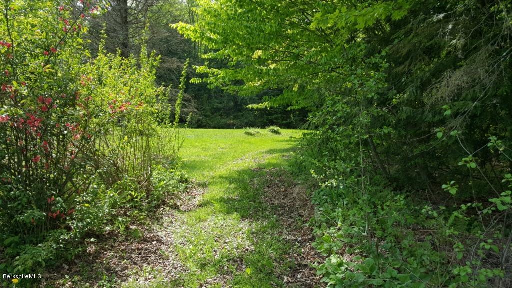 1269 Old Rte 9 Windsor, MA 01270 - Photo 20 of 32 a view of a yard with plants and large trees