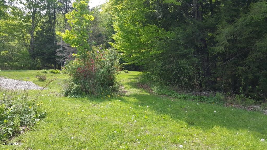 1269 Old Rte 9 Windsor, MA 01270 - Photo 22 of 32 a view of a yard with plants and a trees