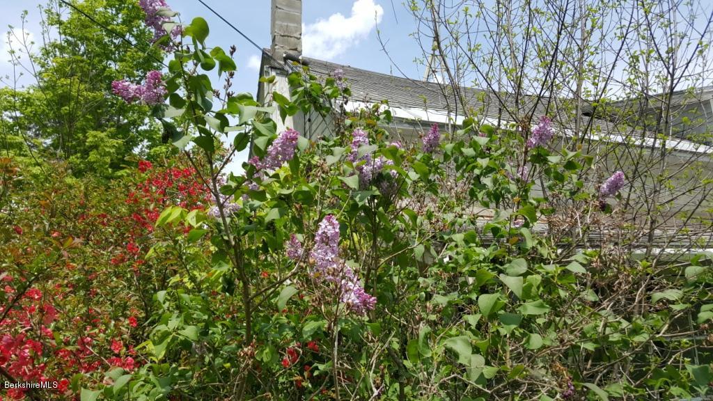 1269 Old Rte 9 Windsor, MA 01270 - Photo 8 of 32 a backyard of a house with lots of green space and a fountain