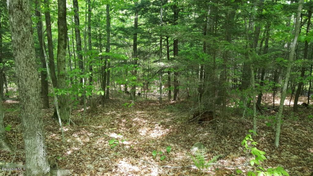 1269 Old Rte 9 Windsor, MA 01270 - Photo 10 of 32