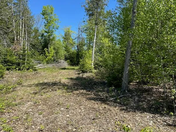 $79,000 | Lot 2 Mt Jefferson Heights, Lee, ME 04455