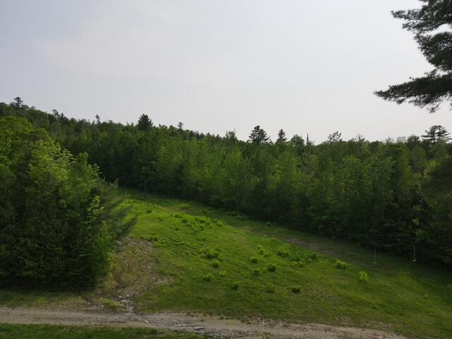 Lot 2 Mt Jefferson Heights Lee, ME 04455 - Photo 14 of 19 dji_fly_20250604_152232_436_174906524806